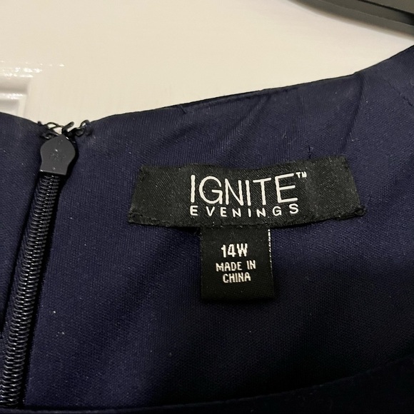 Ignite Evenings Mother of the Bride or Prom Dress​​ - Picture 4 of 5